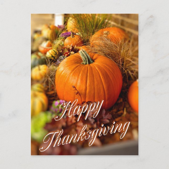 Cartão Postal Ecrã de abóboras (Frente)