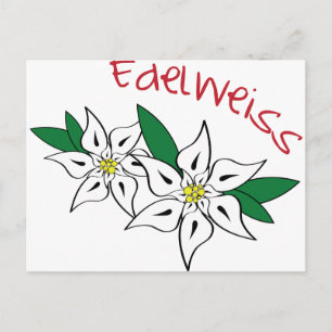 Cartão Postal Edelweiss