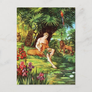 Cartão Postal Eden Adão No Jardim