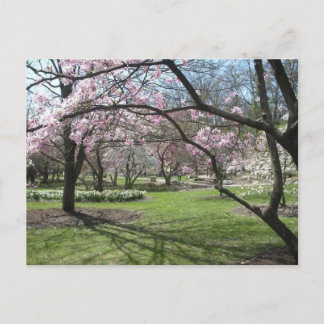 Cartão Postal Eden Park Cincinnati, Ohio, na Primavera