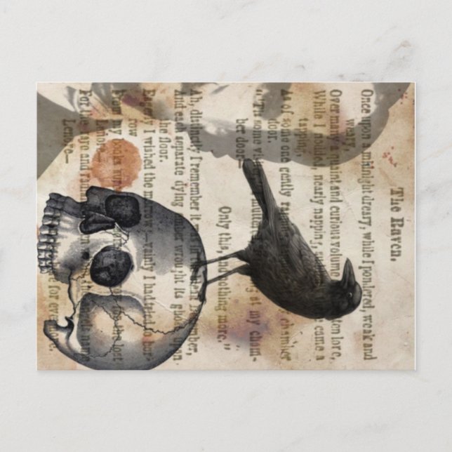Cartão Postal Edgar Allan Poe O Crânio de Raven e o Pássaro (Frente)