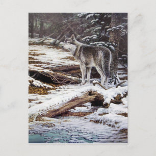 Cartão Postal Edge of Night Postcards