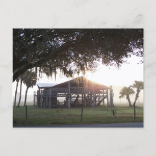 Cartão Postal Edifício antigo sob árvores com estátua humana