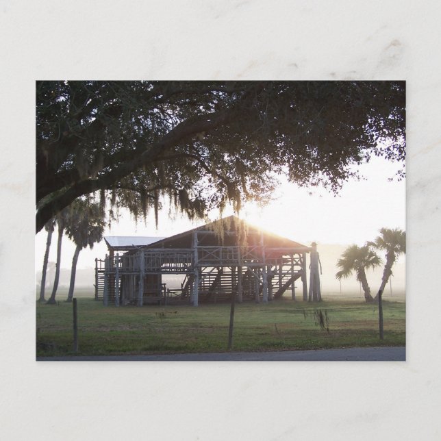 Cartão Postal Edifício antigo sob árvores com estátua humana (Frente)