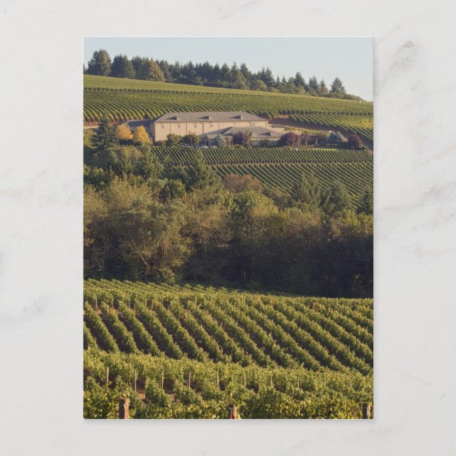 Cartão Postal Edifício de bronzeamento da Archery Summit em cima (Frente)