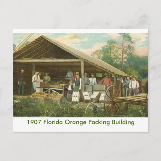 Cartão Postal Edifício de embalagem de laranja (Frente)