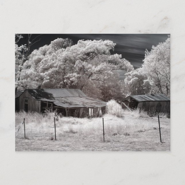 Cartão Postal Edifícios de Fazenda Abandonados Panorâmicos (Frente)