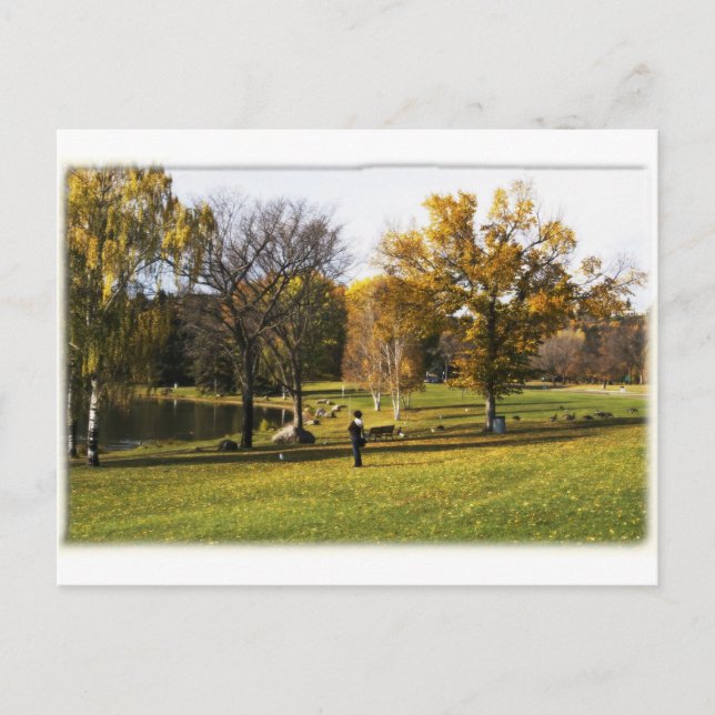 Cartão postal Edmonton Alberta (Frente)