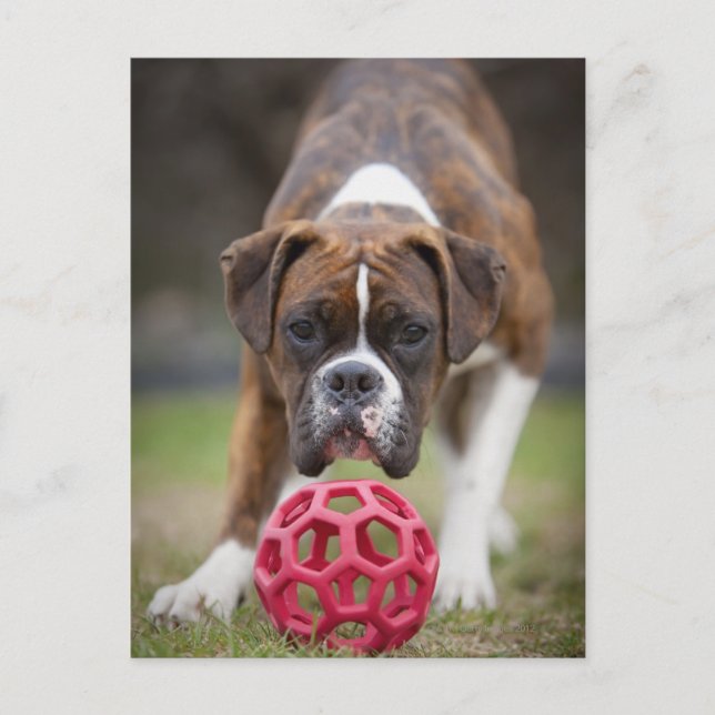 Cartão Postal edmonton alberta canada (Frente)