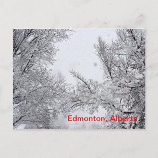 Cartão Postal Edmonton, Alberta Winter Posta card