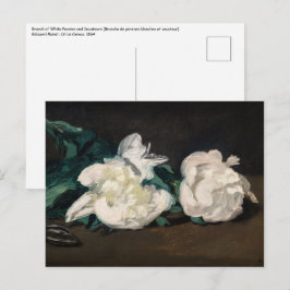 Cartão Postal Edouard Manet - Ramo de Peônias Brancas, Tesoura d