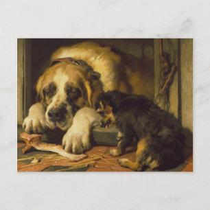 Cartão Postal Edwin Henry Landseer   Desenhos Duvidosos