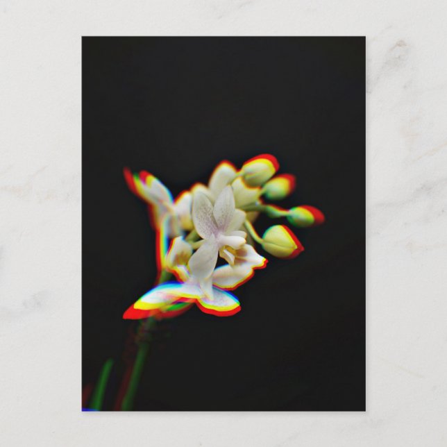 Cartão Postal Efeito de Brilho de Flor de Orquídea (Frente)