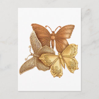Cartão Postal Efetivo de Borboletas