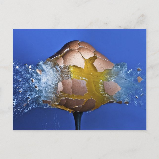 Cartão Postal Eggception (Frente)