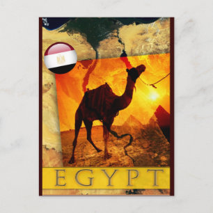 CARTÃO POSTAL EGÍPCIA CAMEL