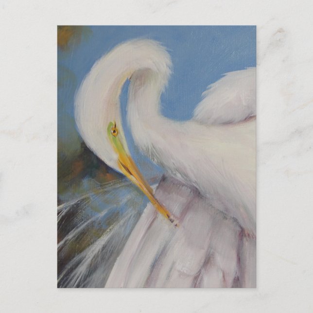 Cartão Postal Egret do excelente (Frente)