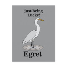 Egret Lucky Bird