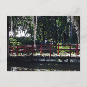 Cartão postal Egret on Red Bridge