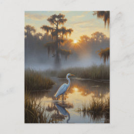 Cartão Postal Egrets in Everglades National Park Morning
