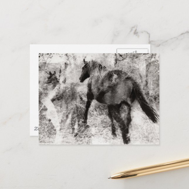 Cartão Postal Égua e potro de cavalo Paint deslumbrante (Frente/Verso In Situ)