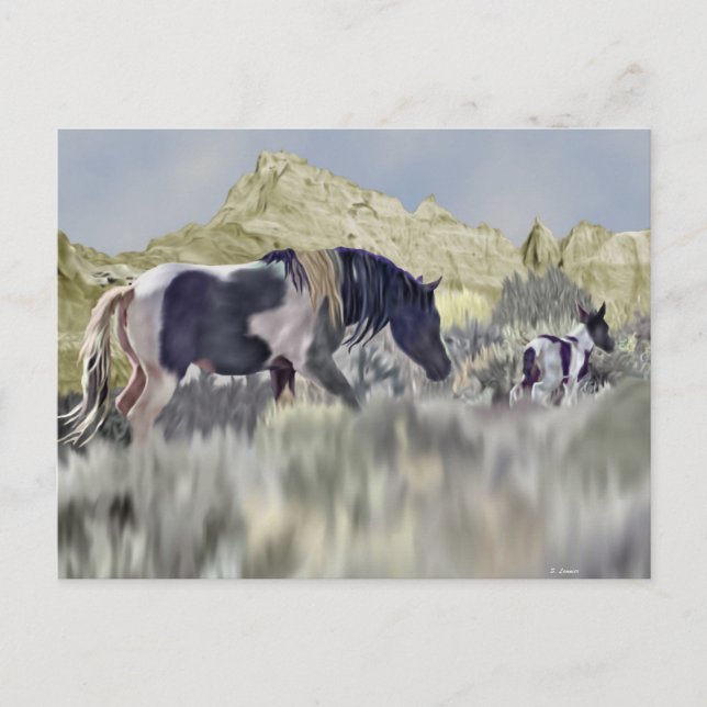 Cartão Postal Égua e Potro de Mustang Selvagem (Frente)