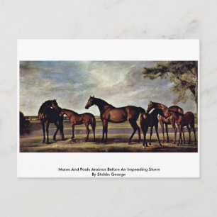 Cartão Postal Éguas E Potros Ansiosos Antes De Uma Tempestade Im