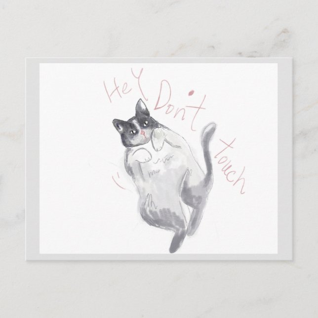Cartão Postal Ei! Não Toque - Cartão-postal de gato (Frente)