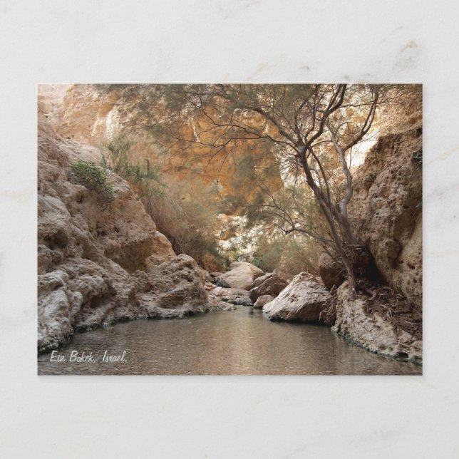 Cartão Postal Ein Bokek, Israel. (Frente)