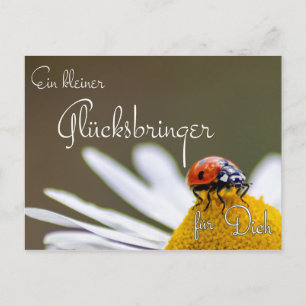 Cartão Postal Ein kleiner Glücksbringer für Dich mit Marienkä