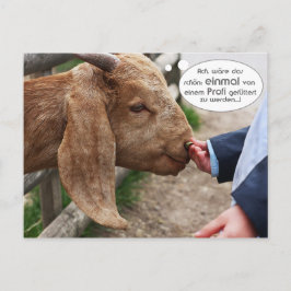 Cartão Postal ...einmal von einem Profi gefüttert zu werden...