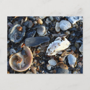Cartão Postal Eítis Beach Shells