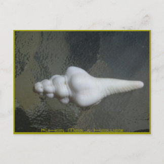 Cartão Postal Eixo Shell de Maui,