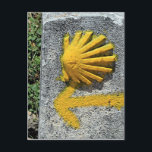 Cartão Postal El Camino de Santiago de Compostela, Espanha, casc<br><div class="desc">El Camino de Santiago de Compostela,  Espanha,  casca</div>