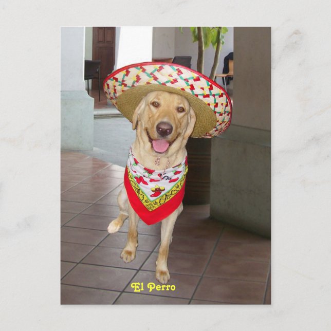 Cartão Postal El Perro (Frente)