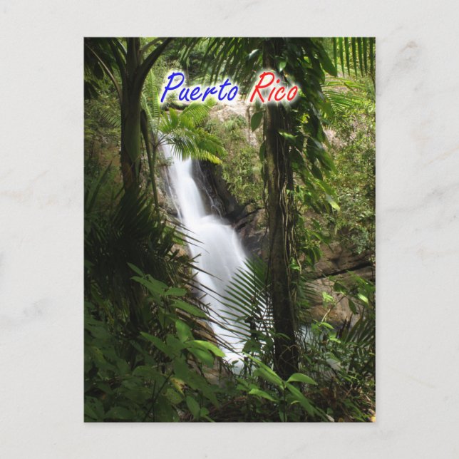 Cartão Postal El Yunque Porto Rico (Frente)
