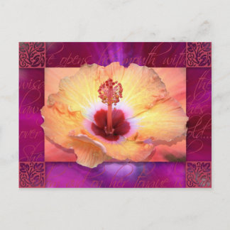 Cartão Postal Ela Abre a Boca com Sabedoria