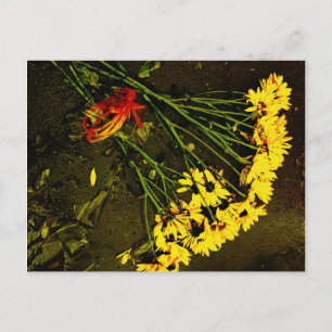 Cartão Postal Ela Não Me Ama!