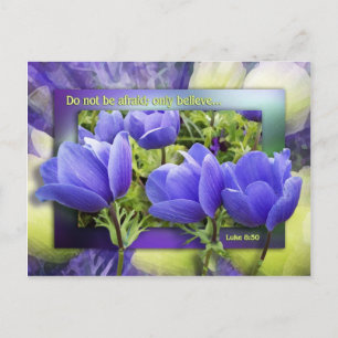 Cartão Postal Ela Será Curada