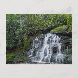 Cartão Postal Elakala Falls #2, Virgínia Ocidental