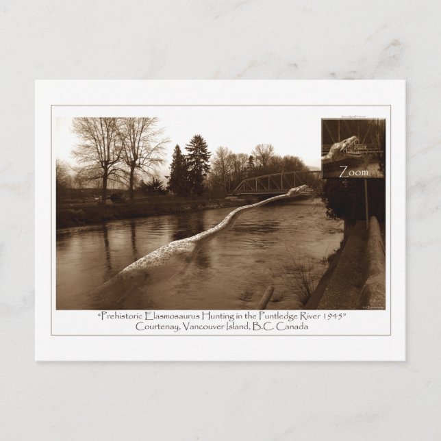 Cartão Postal Elasmosaurus Gifts (Frente)