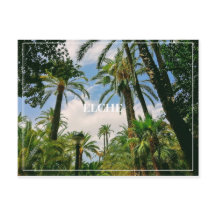 Cartão postal Elche