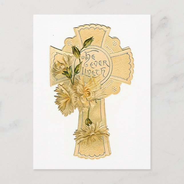 Cartão Postal Ele já viveu (Frente)