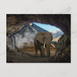 Cartão Postal Elefante