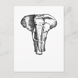 Cartão Postal elefante