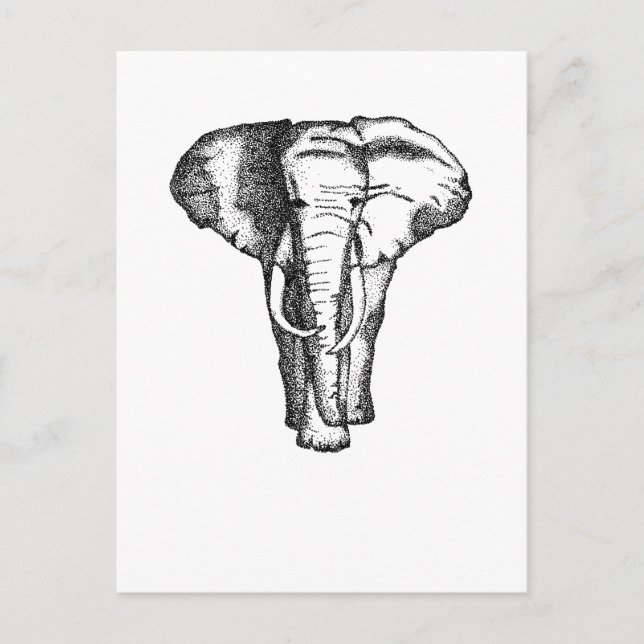 Cartão Postal elefante (Frente)