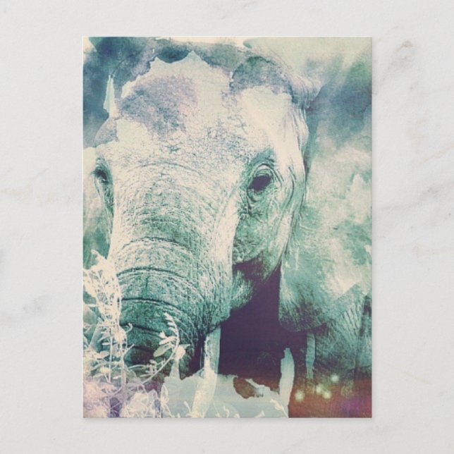 Cartão Postal Elefante (Frente)