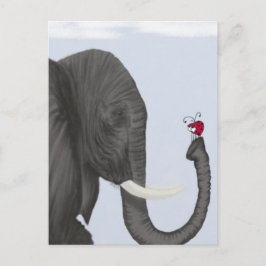 Cartão Postal Elefante Adorável e Ladybug Bonito
