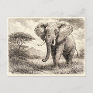 Cartão Postal Elefante africano. Colecionável