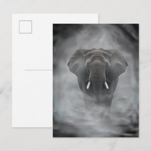 Cartão Postal Elefante Africano em Névoa Serena Impasto